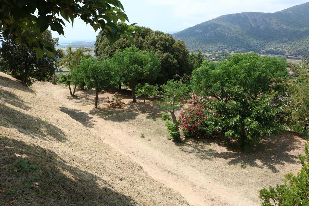 Camping Les Couchants Casaglione Buitenkant foto