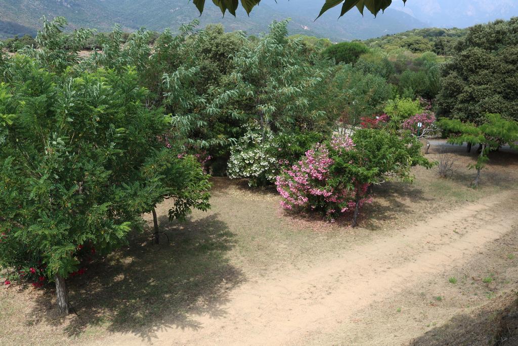 Camping Les Couchants Casaglione Buitenkant foto