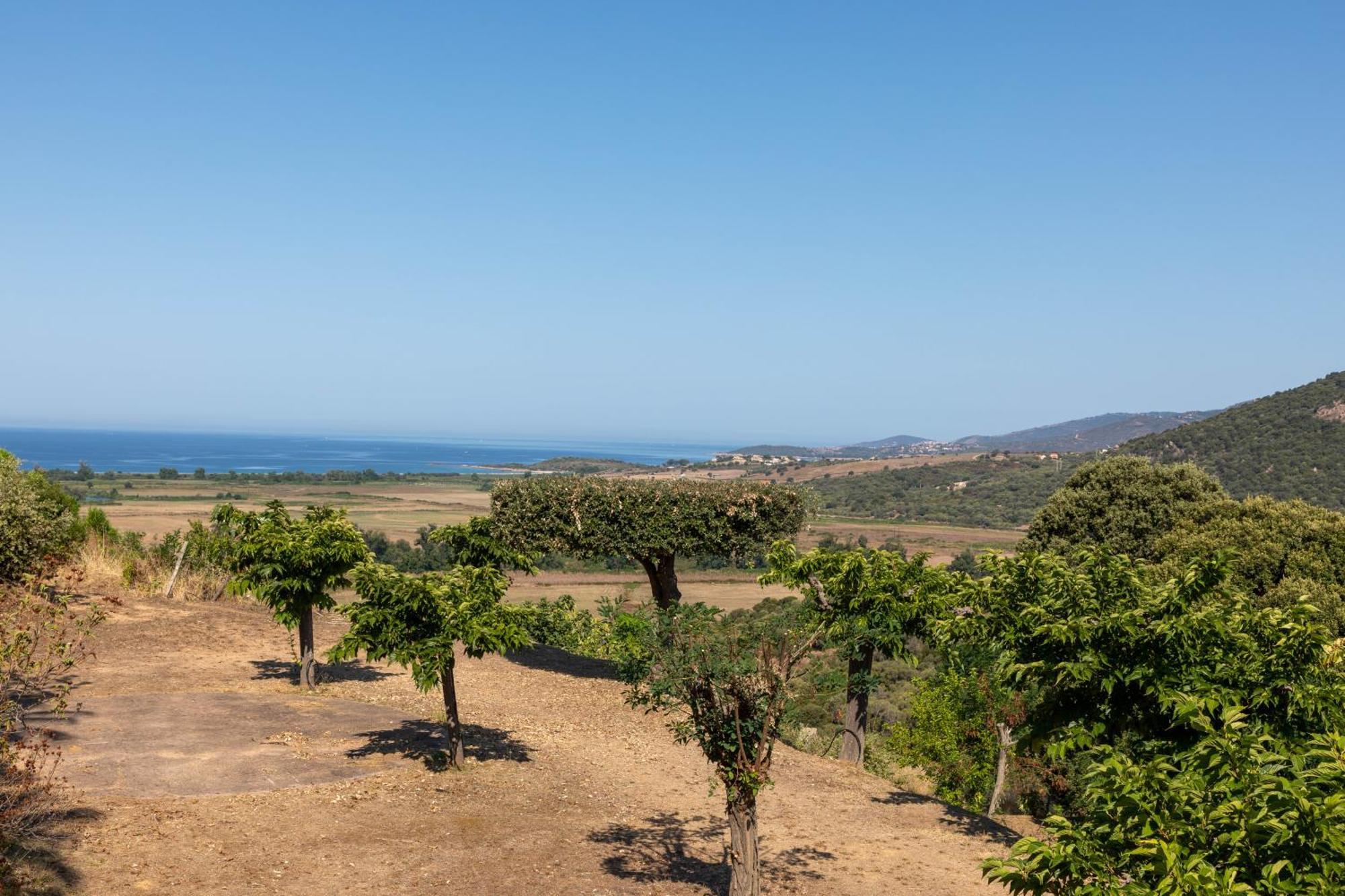 Camping Les Couchants Casaglione Buitenkant foto
